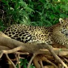 Business 2 image BESPOKE BRAZIL Travel Agents in Norwich No