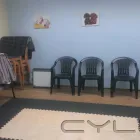 Business 5 image BEST BEHAVIOUR ANIMAL THERAPY Pets & Animals in Rossendale La