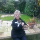 Business 10 image BETTAPETS Pet Shops in Newport Gw