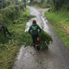 Business 6 image BIDDENDEN TREE SURGEON Tree Services in Ashford Ke