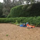 Business 10 image BIDDENDEN TREE SURGEON Tree Services in Ashford Ke