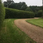 Business 12 image BIDDENDEN TREE SURGEON Tree Services in Ashford Ke