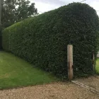 Business 15 image BIDDENDEN TREE SURGEON Tree Services in Ashford Ke