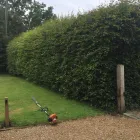 Business 17 image BIDDENDEN TREE SURGEON Tree Services in Ashford Ke