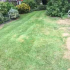 Business 21 image BIDDENDEN TREE SURGEON Tree Services in Ashford Ke
