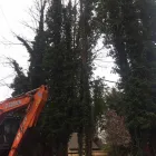 Business 32 image BIDDENDEN TREE SURGEON Tree Services in Ashford Ke