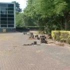 Business 2 image BLOCK PAVING MAINTENANCE Paving & Driveway Contractors in Witham Es
