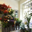 Business 1 image BLOEMEN ECKE LTD Florists in Edinburgh Mi