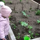 Business 1 image BLOSSOM LODGE DAY NURSERY Nursery Schools in Cheltenham Gl