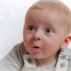 Business 11 image BLUE FIN SEAFOODS Fish Wholesalers in Troon Ay