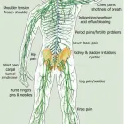 Business 10 image BODY STRESS RELEASE - CHESHIRE Naturopaths in Sandbach Ch