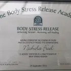 Business 14 image BODY STRESS RELEASE - CHESHIRE Naturopaths in Sandbach Ch