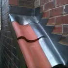 Business 20 image BONMARCHE Ladies Clothes Shops in Leicester Le