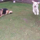 Business 8 image BOOTS UK Pharmacies in Felixstowe Su