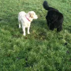 Business 1 image BOOTS UK Pharmacies in Felixstowe Su