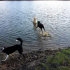 Business 2 image BOOTS UK Pharmacies in Felixstowe Su