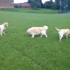 Business 5 image BOOTS UK Pharmacies in Felixstowe Su