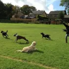 Business 6 image BOOTS UK Pharmacies in Felixstowe Su