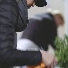 Business 2 image BOXXFRESH Grocery Delivery Service in FAREHAM Ha