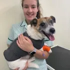 Business 11 image BRAID VETS, LEITH WALK Veterinary Services in Edinburgh Edh