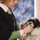 Business 1 image BRELADES VETERINARY SURGEONS Vets in Dorking Su