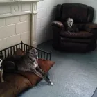 Business 2 image BRENTWOOD HOUSE Hotels & Inns in Bridlington No