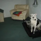 Business 4 image BRENTWOOD HOUSE Hotels & Inns in Bridlington No