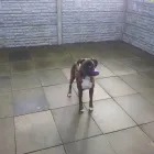 Business 5 image BRENTWOOD HOUSE Hotels & Inns in Bridlington No