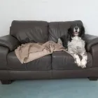 Business 6 image BRENTWOOD HOUSE Hotels & Inns in Bridlington No