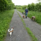 Business 7 image BRENTWOOD HOUSE Hotels & Inns in Bridlington No