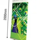 Business 2 image BRIGHT IDEAS GROUP Signs, Banners & Display Systems in Hartlepool Cl