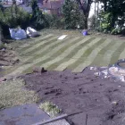 Business 4 image BRIGHTON UP YOUR GARDEN Garden Services in Brighton Ea