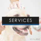 Business 3 image BROOKSIDE KENNELS Pets & Animals in Upminster Gr