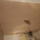 Business 18 image BSB PLASTERING Roofing Contractors in Wigan La