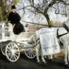 Business 5 image BURGESS & HARPER FUNERAL DIRECTORS Funeral Directors in Wolverhampton We