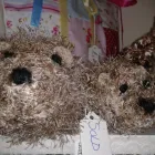 Business 19 image BURNLEY STONE & SLATE LTD Stone Merchants in Burnley La