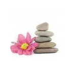 Business 15 image BUTTERFLY BEAUTY SPA & TRAINING ACADEMY Beauty Salons & Consultants in Luton Be