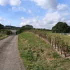 Business 15 image C.A.R. GARDENS Landscapers in Newport Is