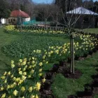 Business 20 image C.A.R. GARDENS Landscapers in Newport Is