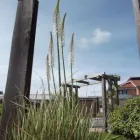 Business 22 image C.A.R. GARDENS Landscapers in Newport Is