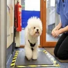 Business 1 image CALDER VETS HUDDERSFIELD Veterinary Services in Huddersfield We