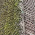 Business 2 image CAMPBELTOWN LETTINGS Letting Agents in Campbeltown Ar