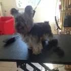 Business 3 image CAR-FINANCE.NET Car Leasing in Stoke-On-Trent St