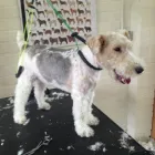 Business 4 image CAR-FINANCE.NET Car Leasing in Stoke-On-Trent St