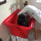 Business 5 image CAR-FINANCE.NET Car Leasing in Stoke-On-Trent St