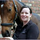 Business 1 image CARNOISSEUR LEASING DUNSTABLE Car Leasing in Dunstable Be