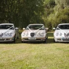 Business 18 image CAROL'S CLASSICS Wedding Services in Hornchurch Gr