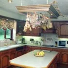 Business 1 image CAROLS CANINE CARING Dog Walking in FAREHAM Ha