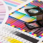 Business 1 image CATFISH PRINT Printing Services in Bristol So