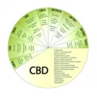 Business 2 image CBD BUSINESS LIMITED Vitamin & Supplements Shops in Upshire Es